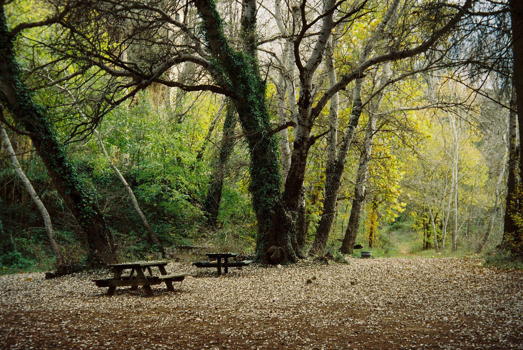 Pentax espio 125M