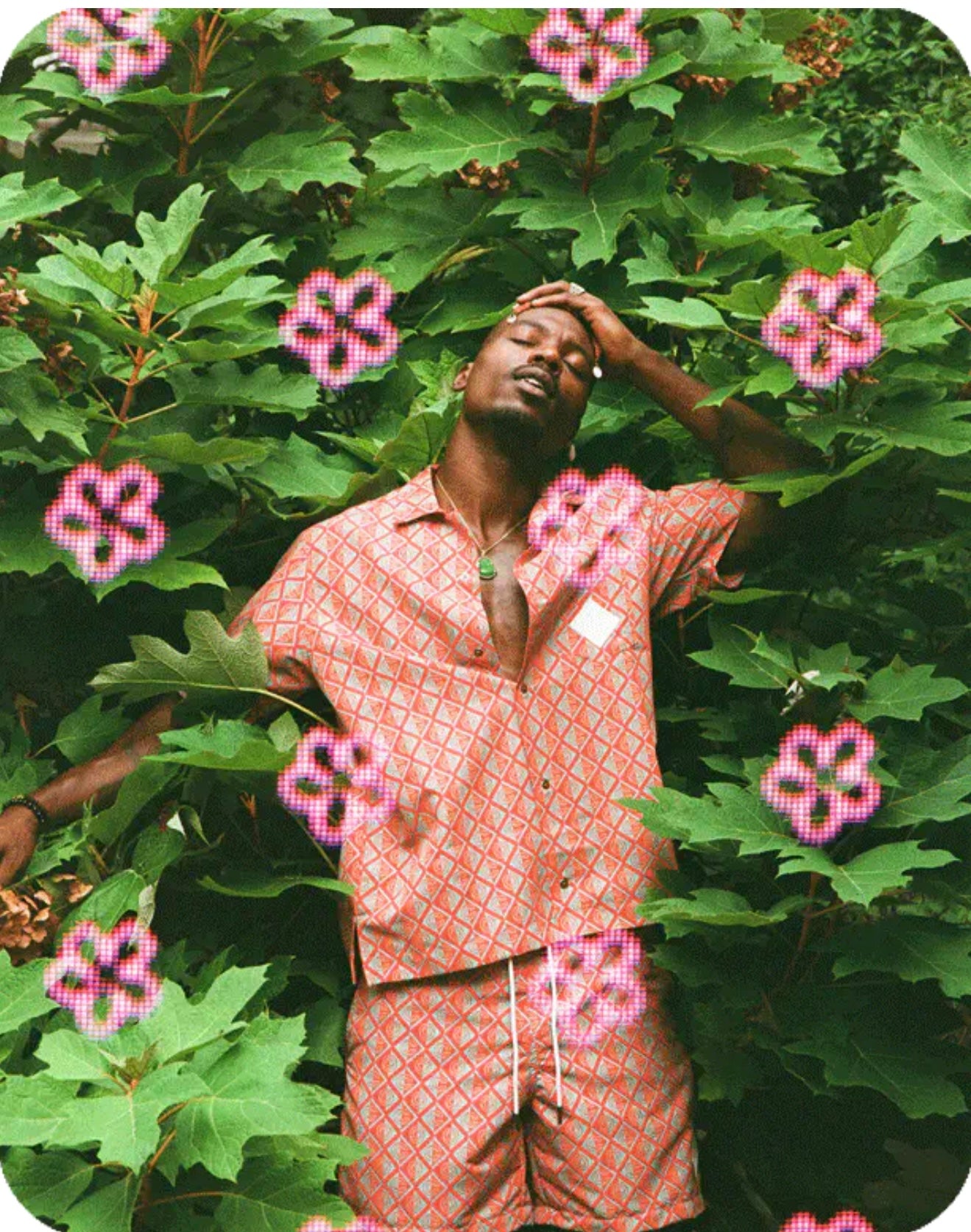 Bkifi Pink flower 特效菲林