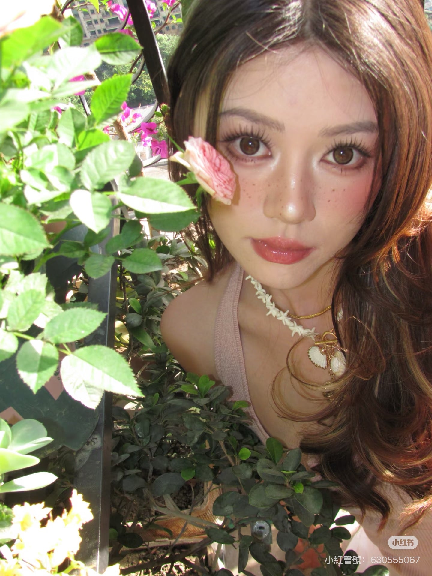 Canon sx120is 預售8.6到 G12替代