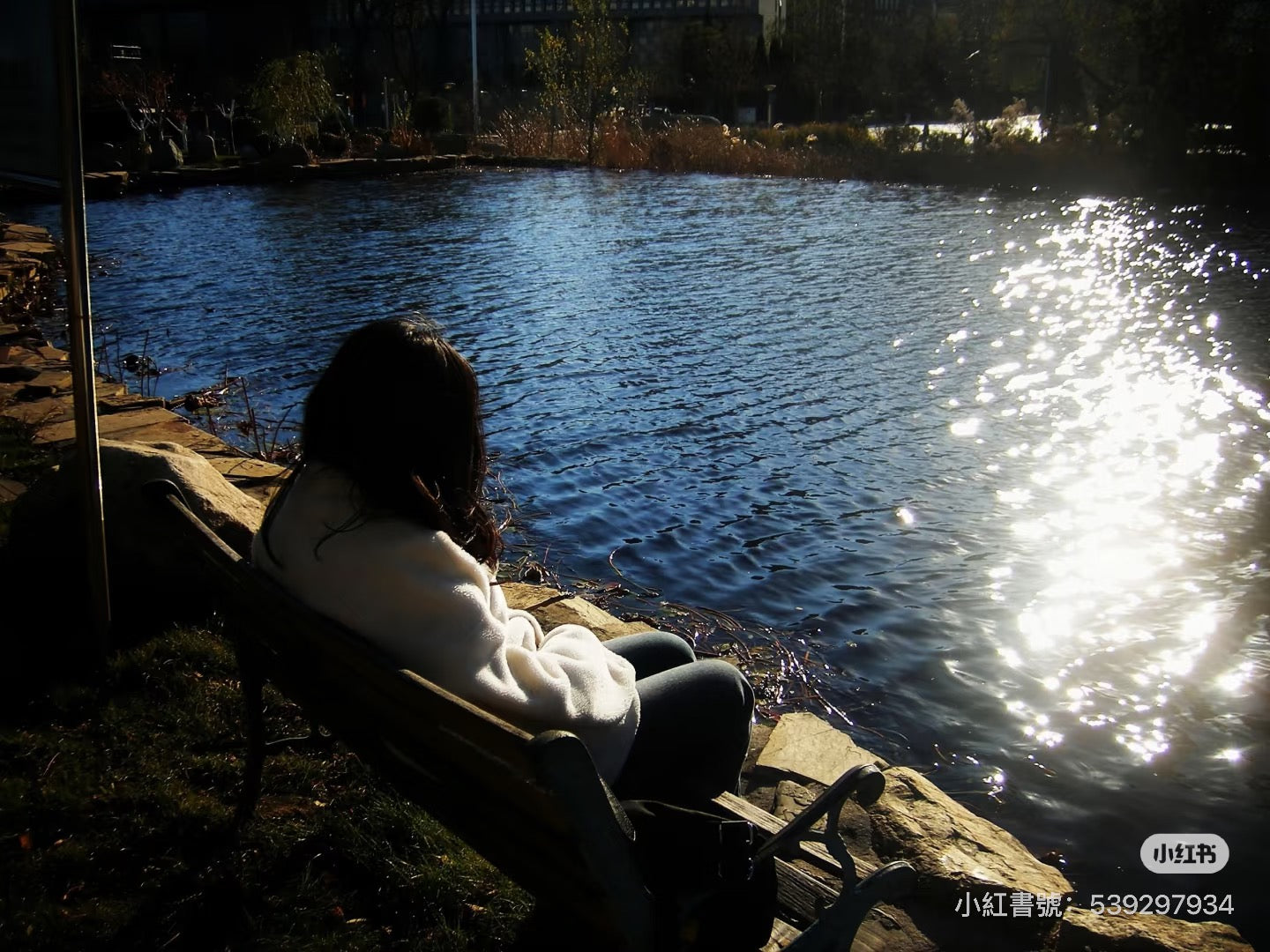Fujifilm f460