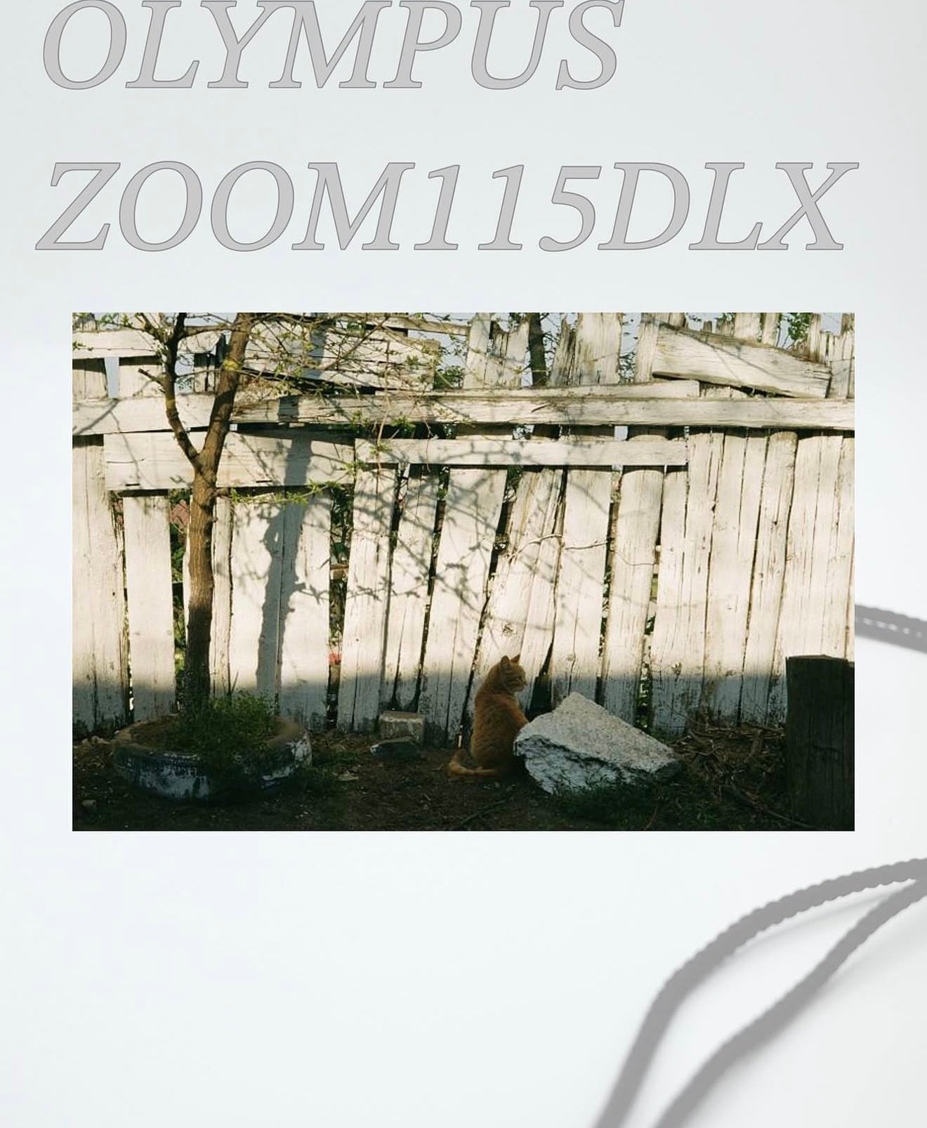 Olympus mjui zoom115delux
