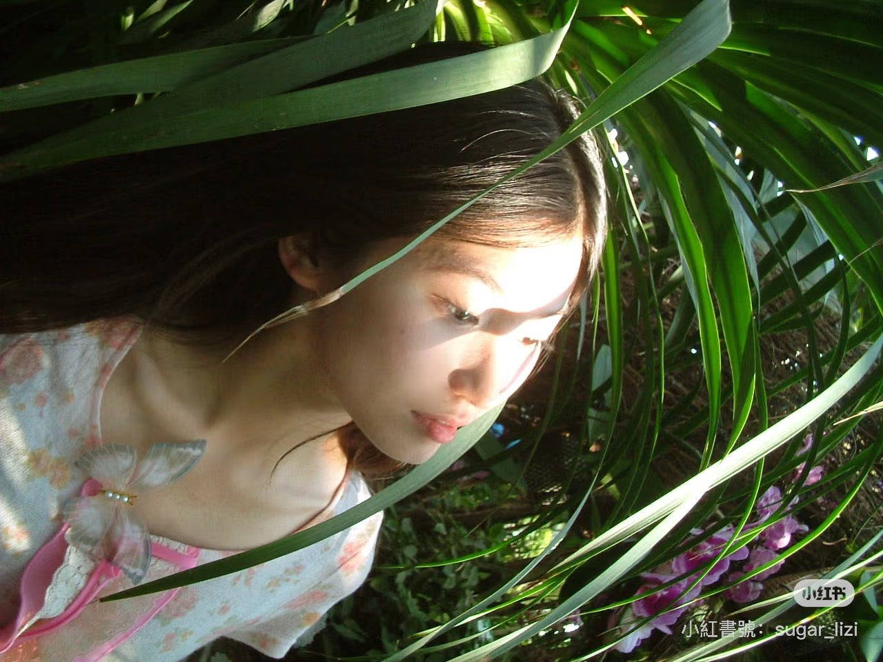 Fujifilm f402（預售）