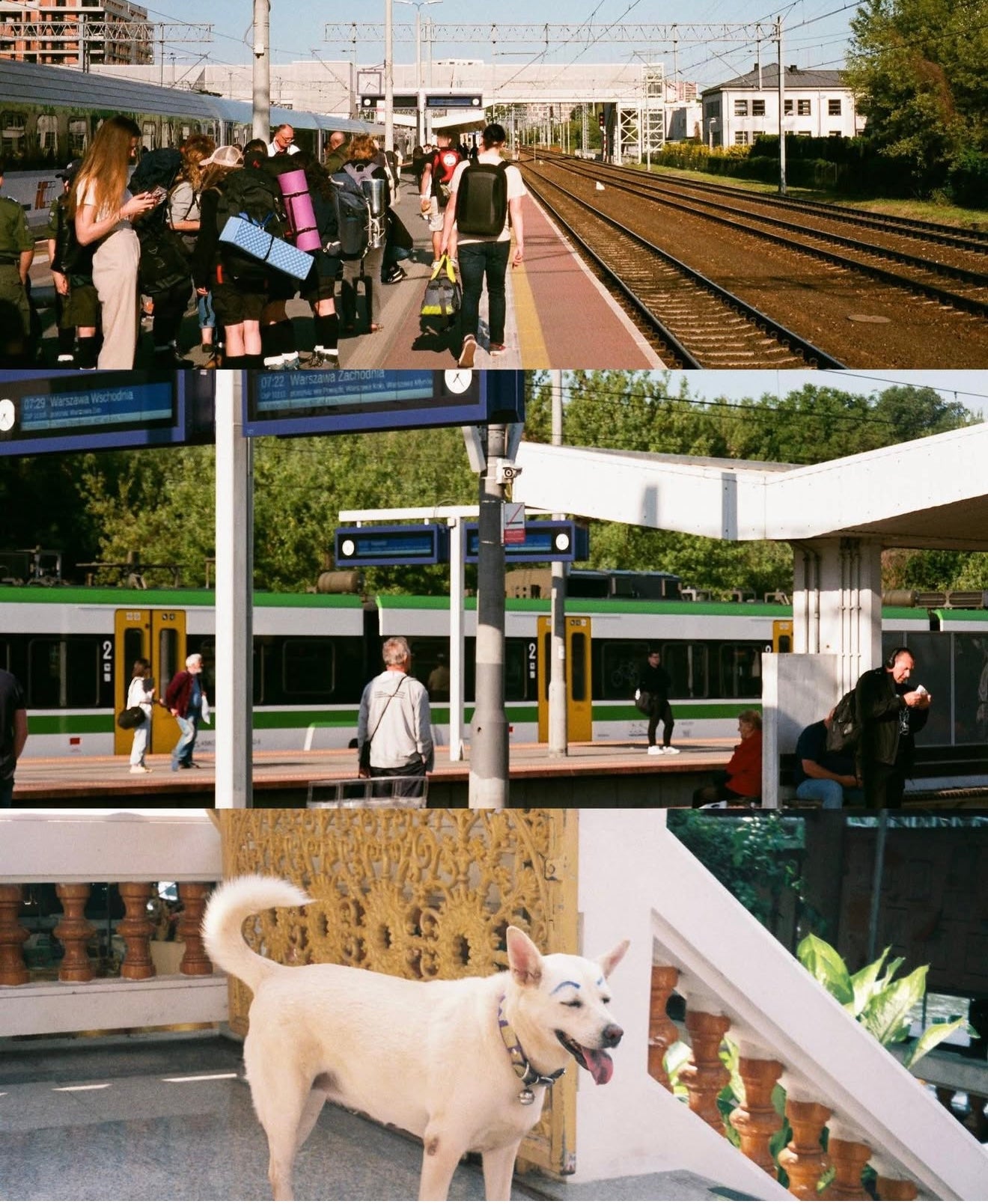 Yashica zoomate110W