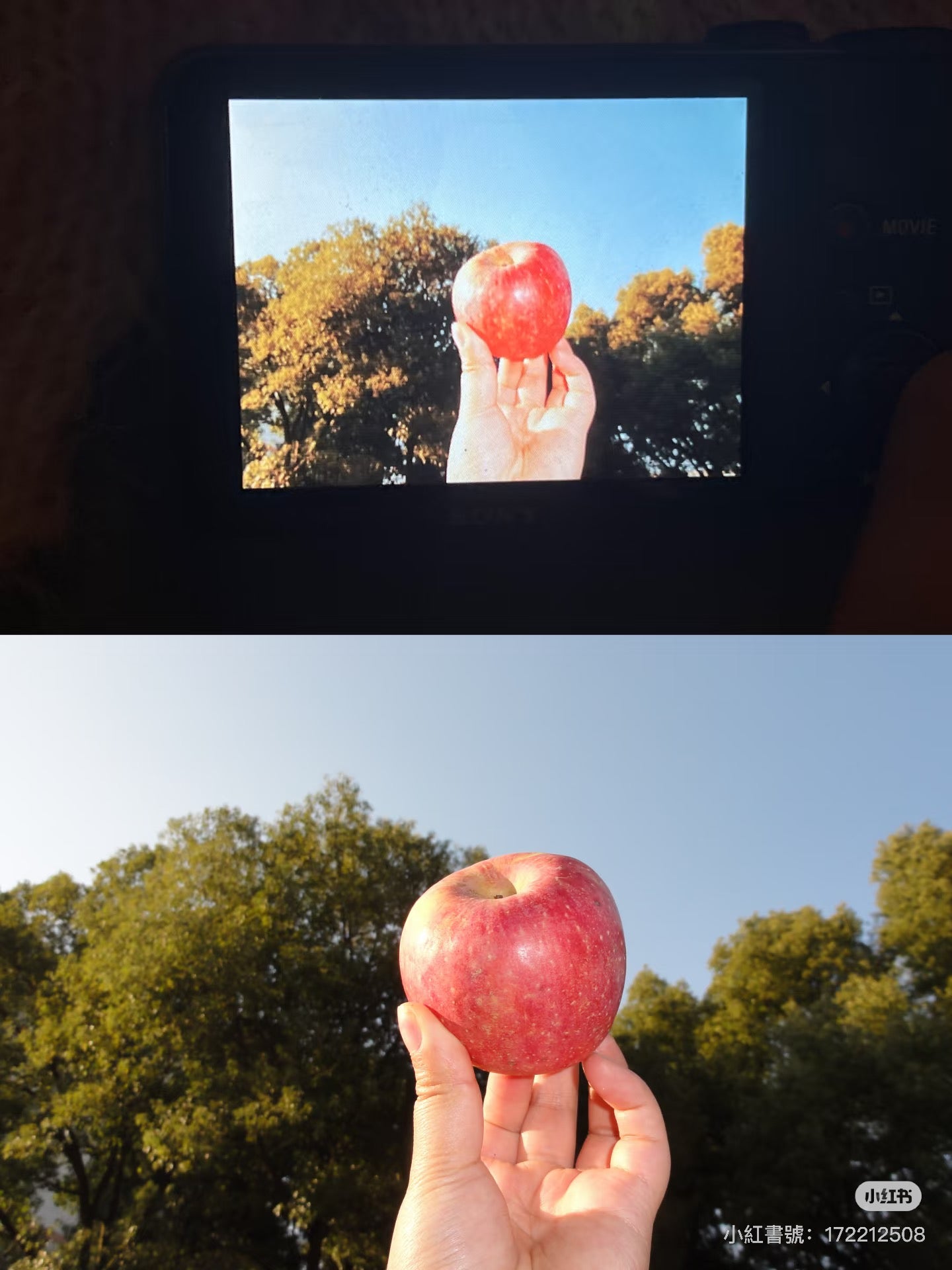 Sony hx5 小長焦
