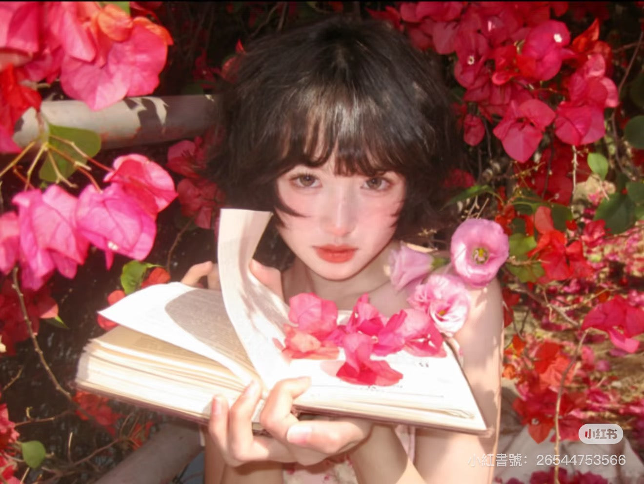 Canon ixus85is/ixy25is