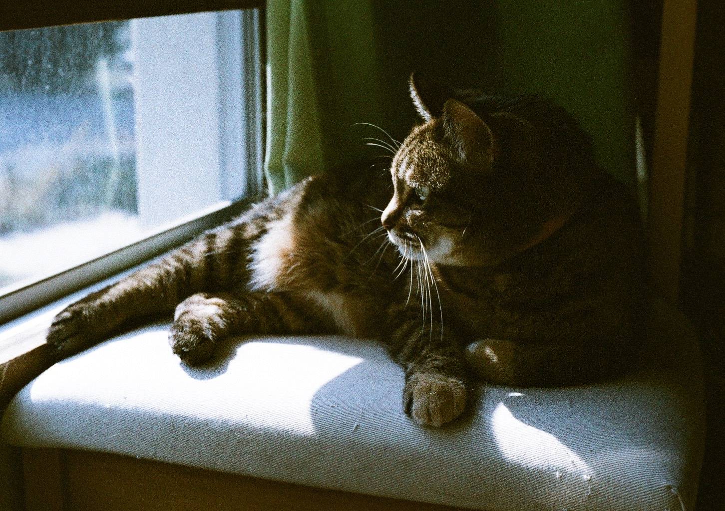 Olympus pen F