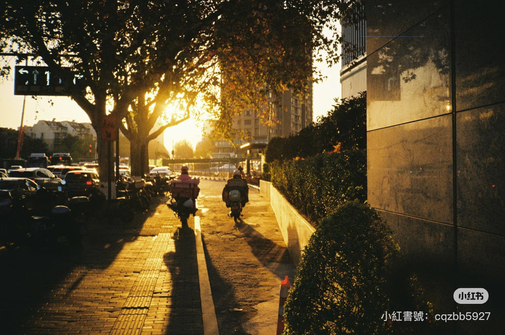 Ricoh Lx22 Date