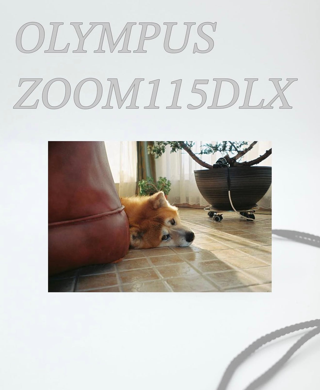 Olympus mjui zoom115delux