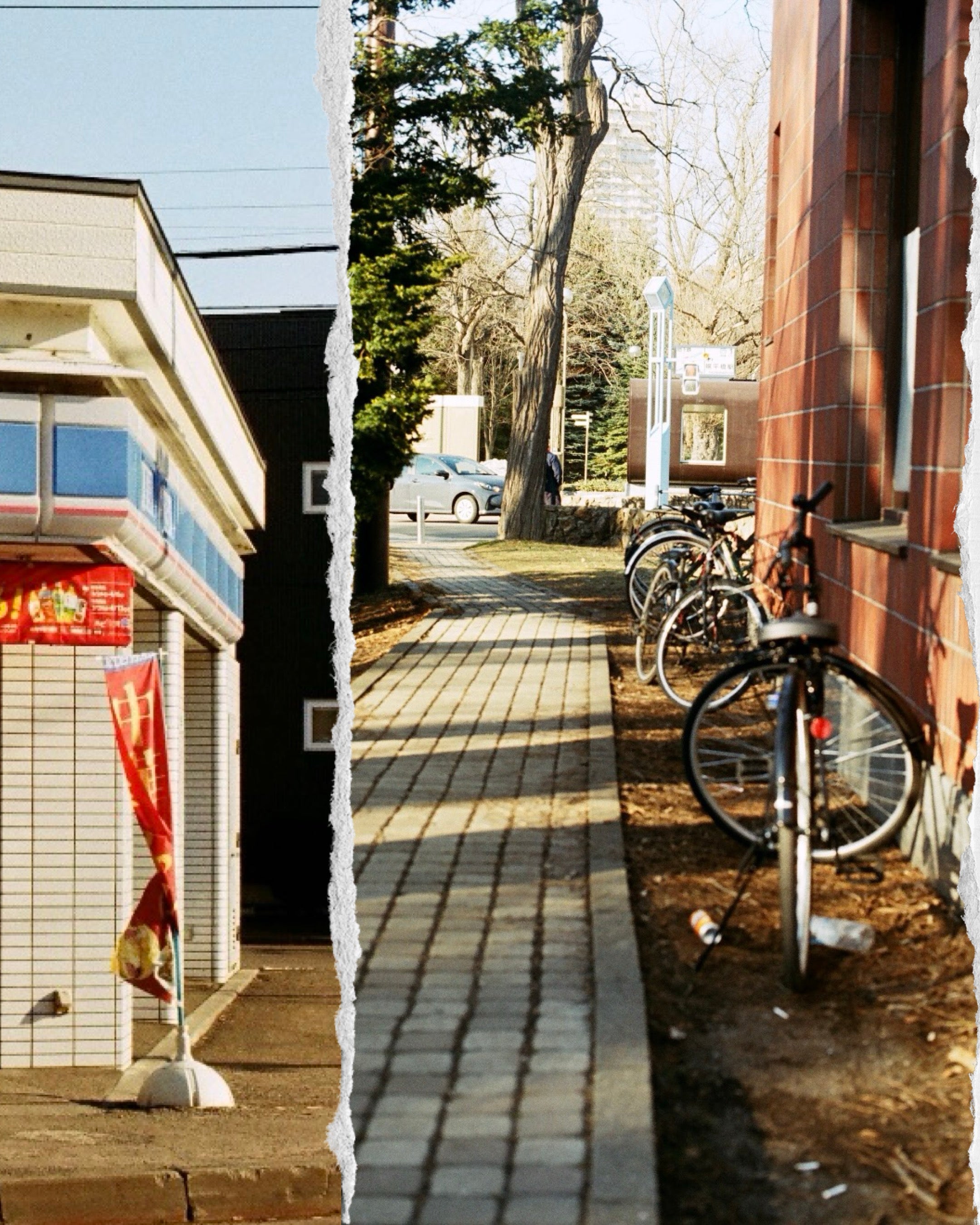 Canon ae1p