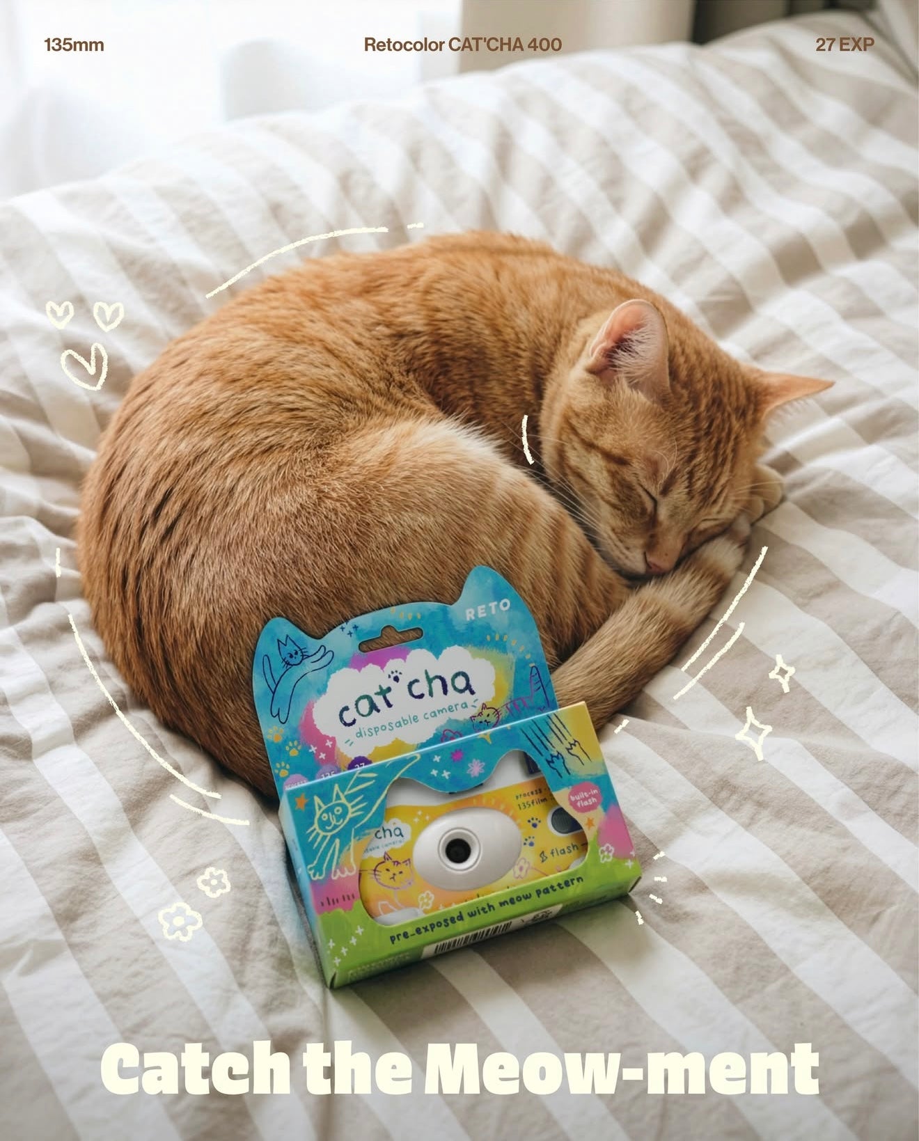 Reto Cat cha！！！