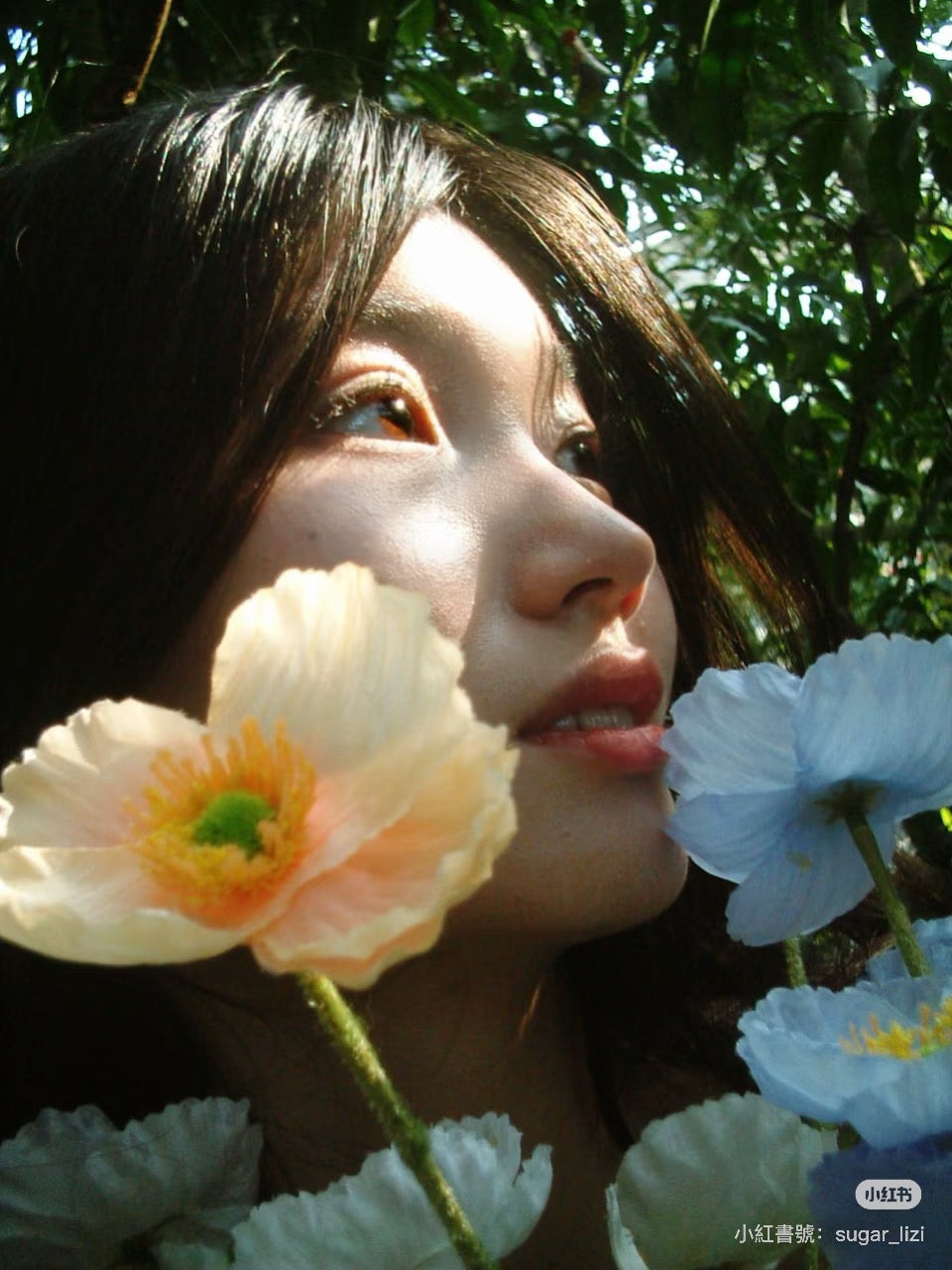 Fujifilm f402（預售）