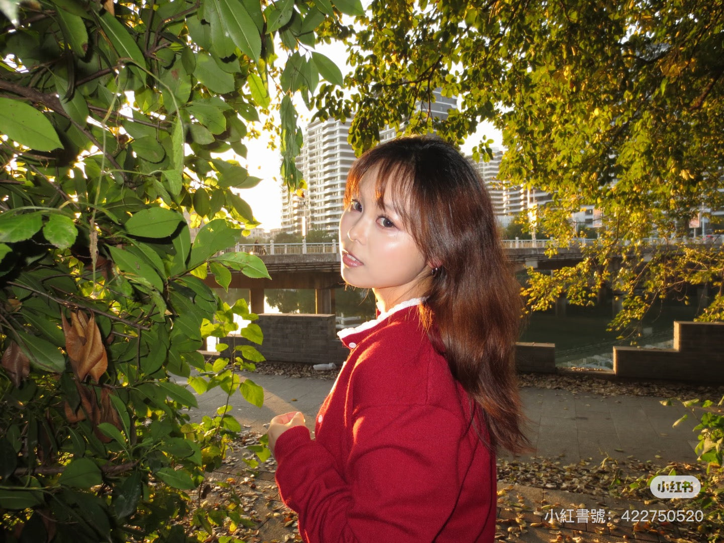 Canon ixus240hs（預售）