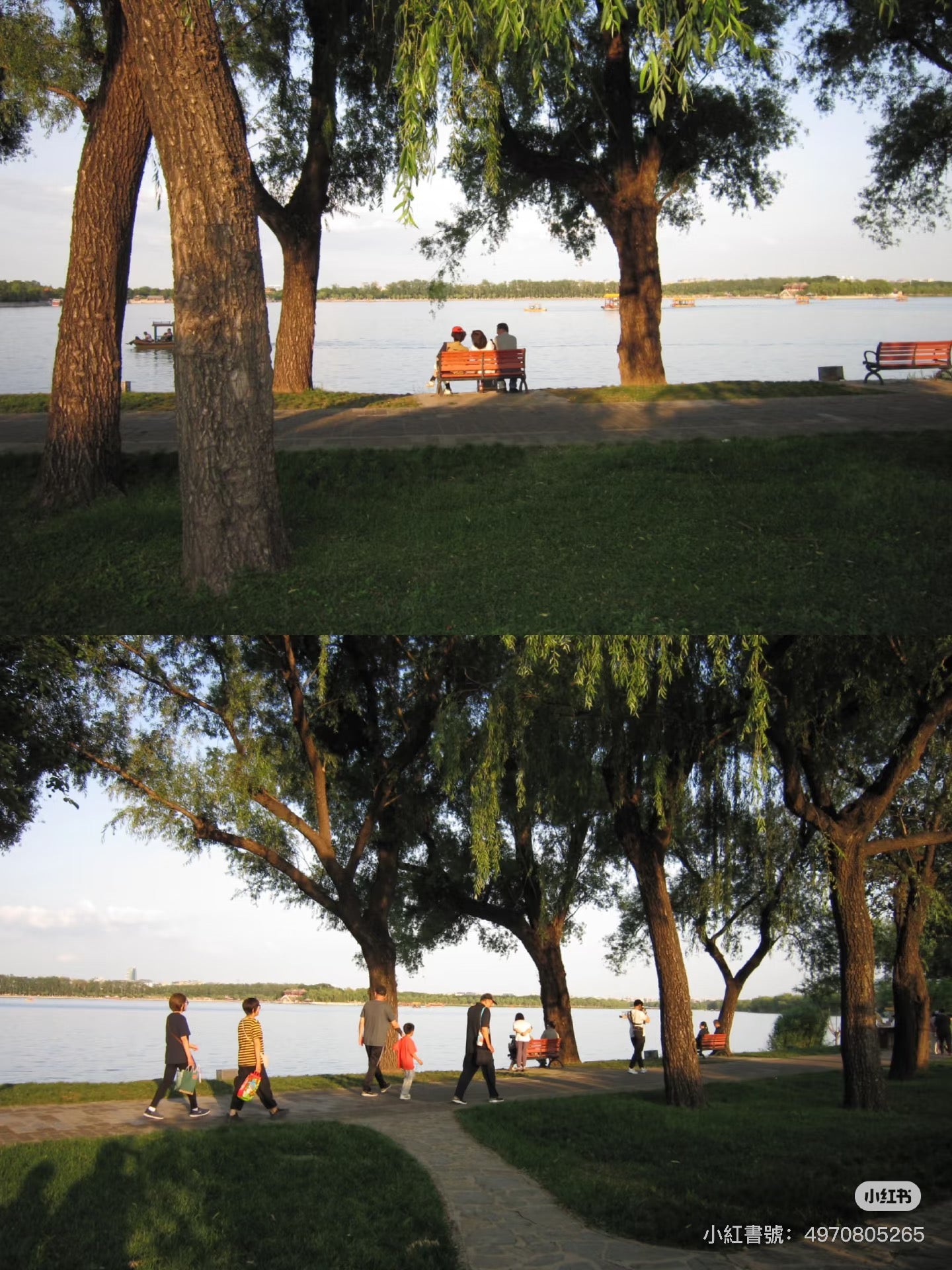 Canon ixus200 預售