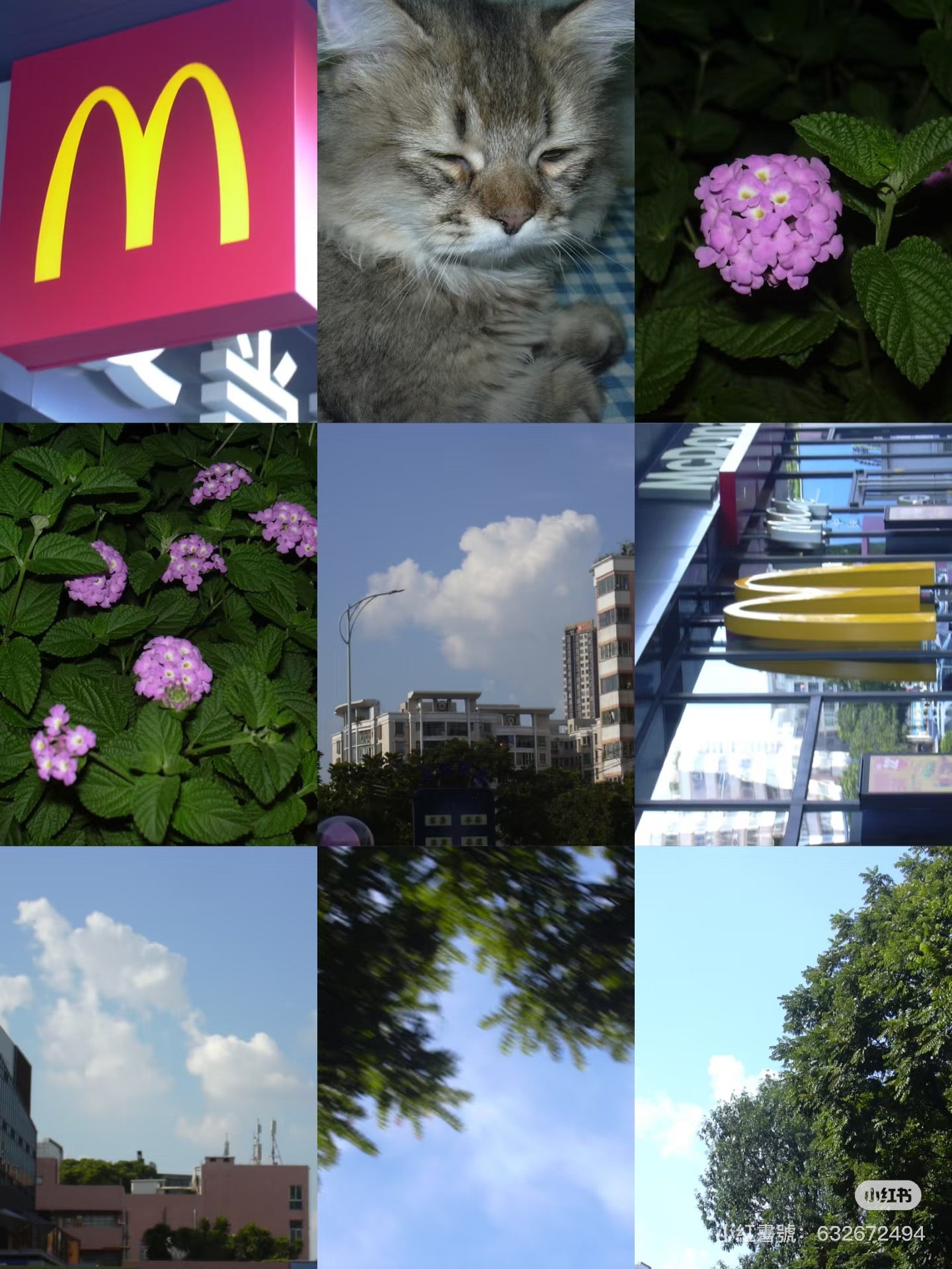 復古vibe nikon2000